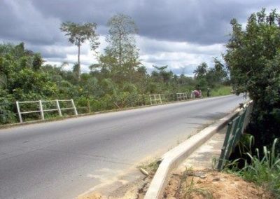 Bathymetric Surveys of Bridge Crossings for East West Highway Project Rivers State 2007