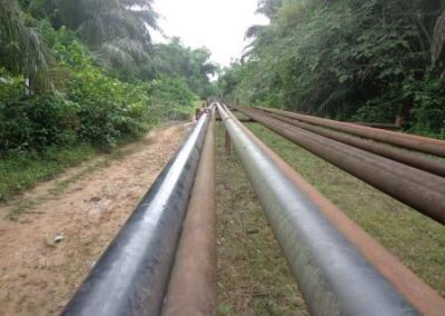Route Survey of Utorogu-Ughelli DOMGAS Pipelines Project VO2 Nigeria [Daewoo Shell 2011