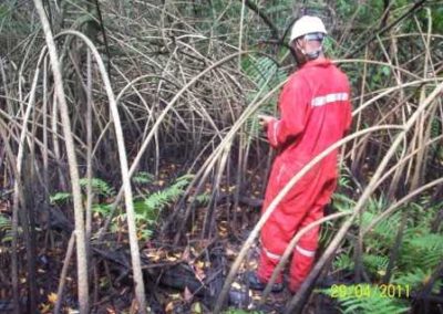 Site Investigation of Agura IPP Site, Lagos 2011